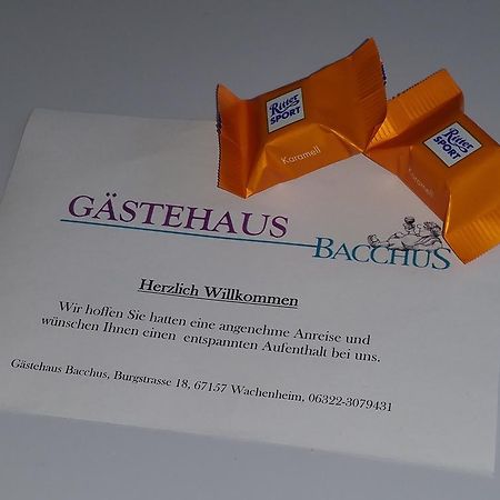 Gaestehaus Bacchus Wachenheim an der Weinstraße Exterior foto