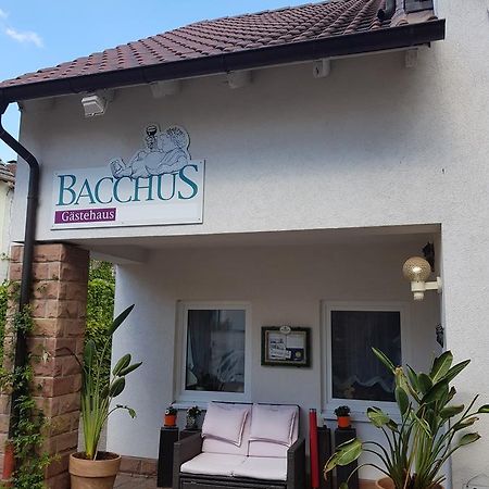 Gaestehaus Bacchus Wachenheim an der Weinstraße Exterior foto